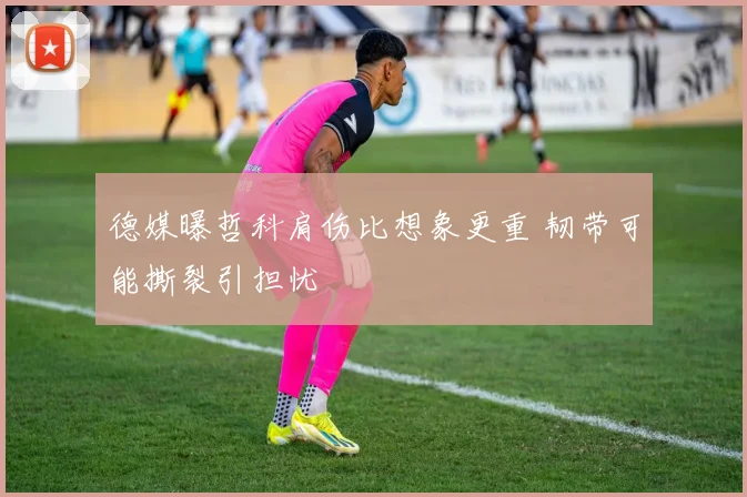 德媒曝哲科肩伤比想象更重 韧带可能撕裂引担忧
